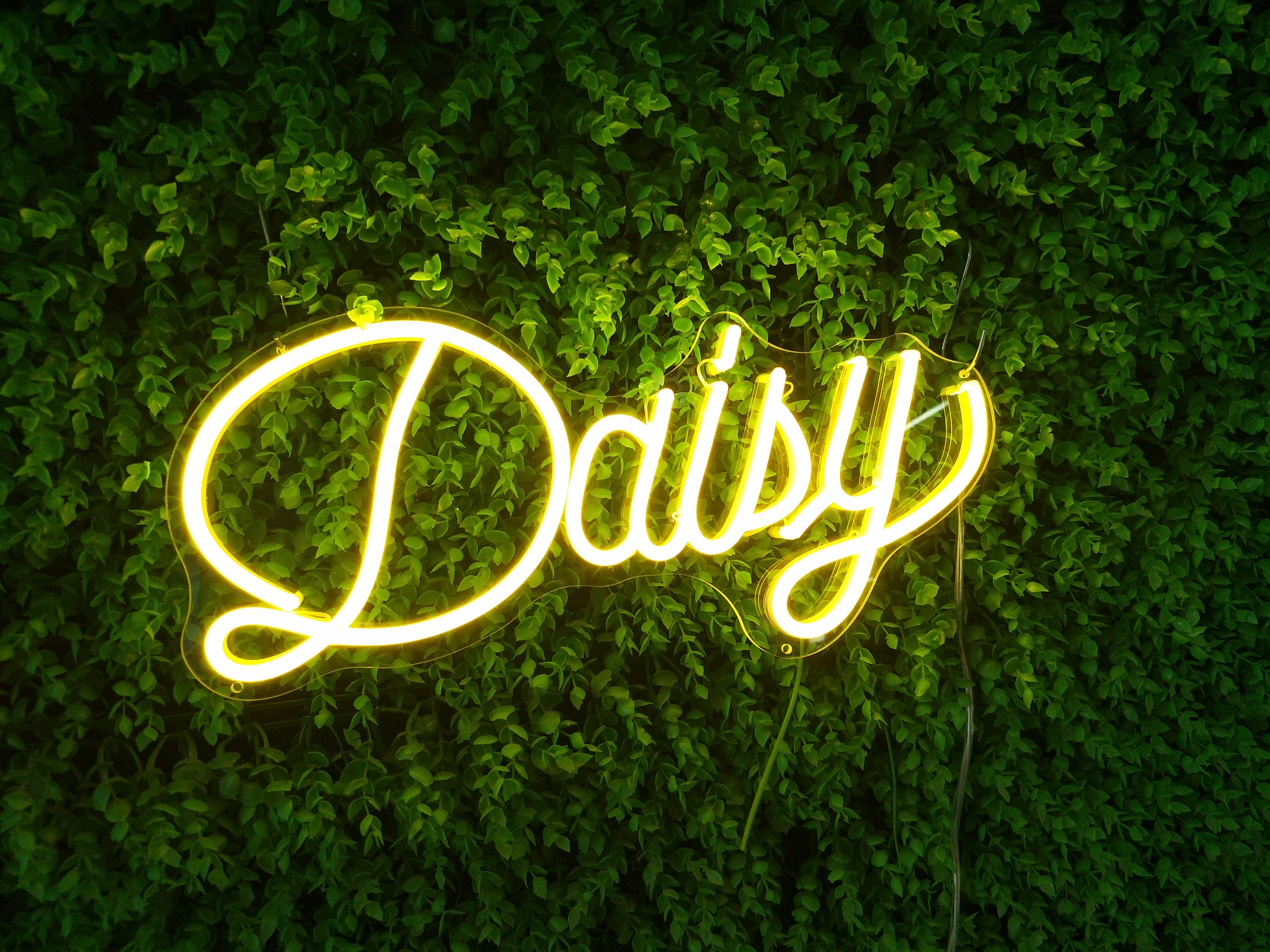 Daisy Name Sign Custom Name Neon Sign Wedding Party Customize Etsy UK