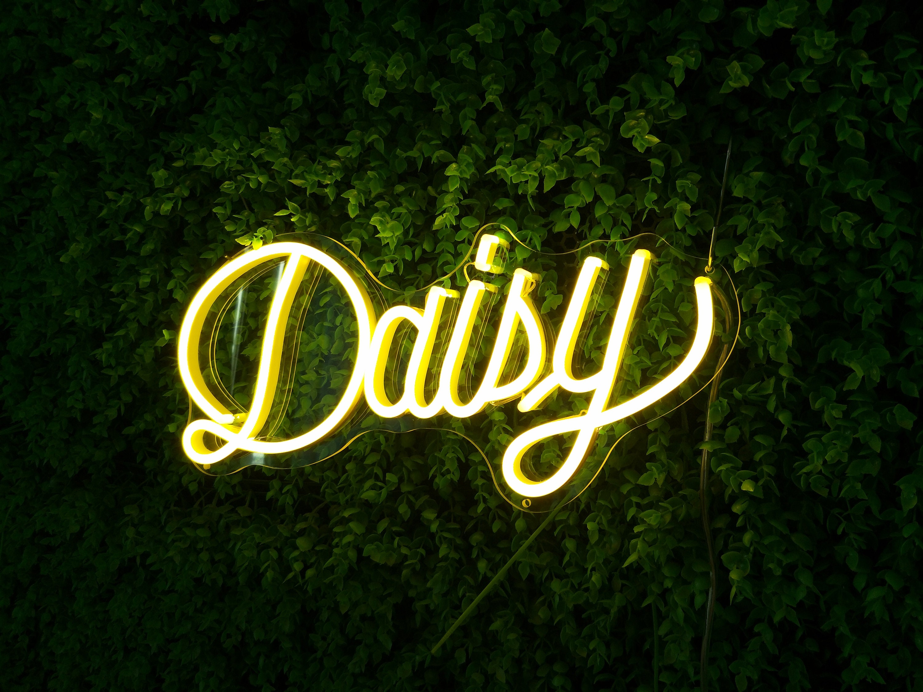 Daisy' Mini Glass Neon Sign