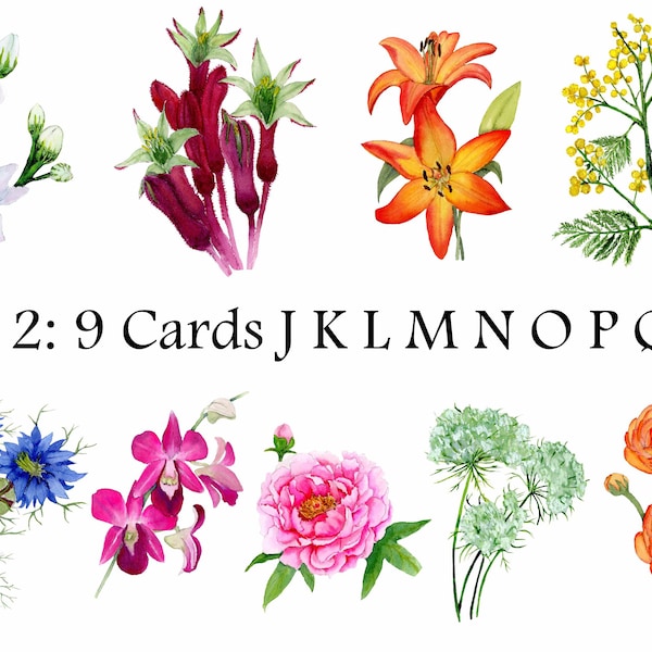 9 Greetings Cards of Flowers: Jasmine, Kangaroo Paw, Lily, Mimosa, Nigella, Orchid, Peony, Queen's Anne Lace and Ranunculus