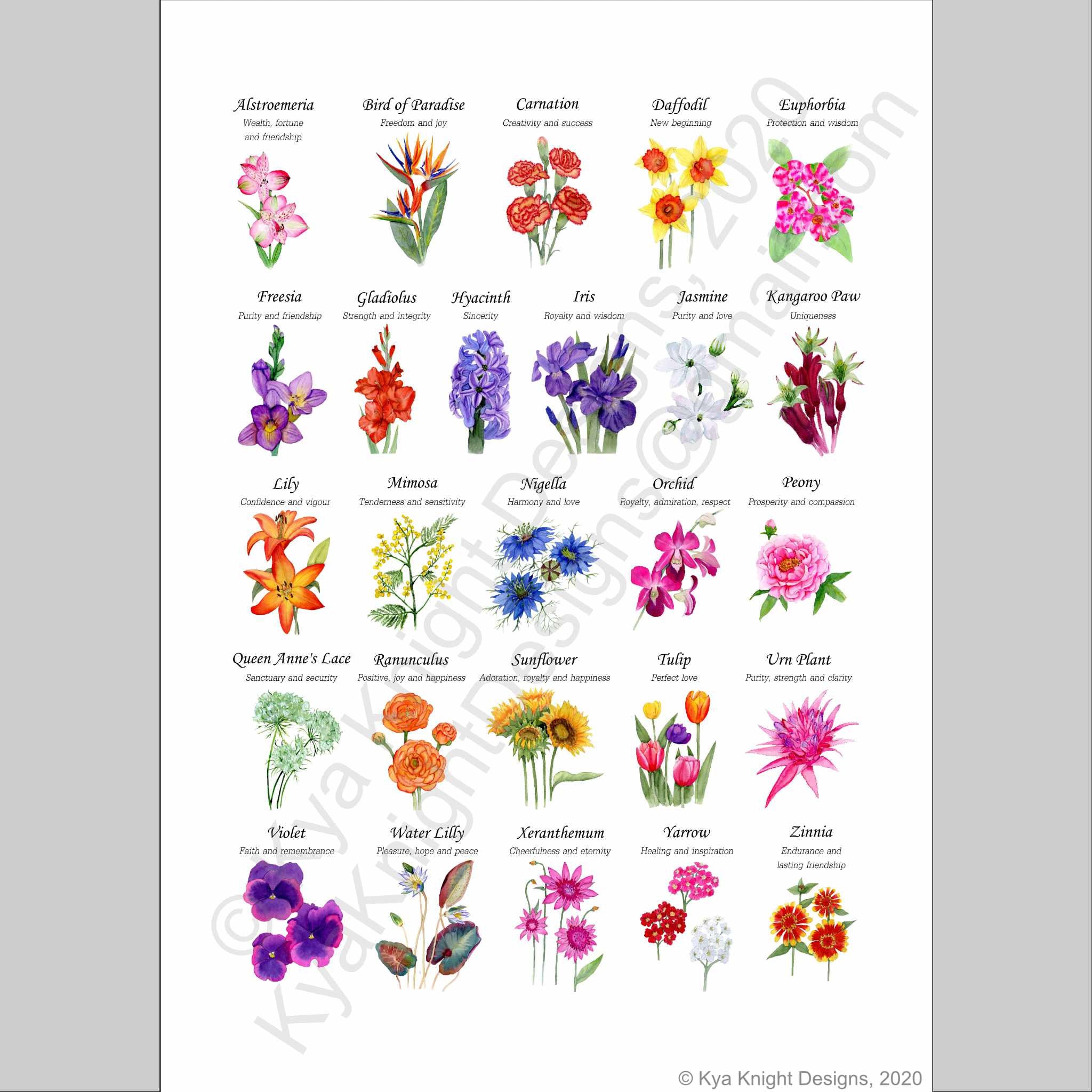 PRINT Alphabet of Flowers Watercolour ABC A to Z Etsy UK