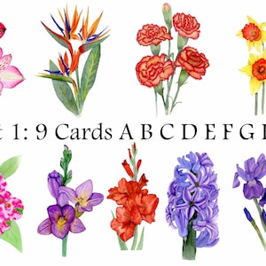 9 Biglietti di auguri di fiori: Alstroemeria, Uccello del Paradiso, Garofano, Daffodil, Euforia, Freesia, Gladiolus, Giacinto e Iris