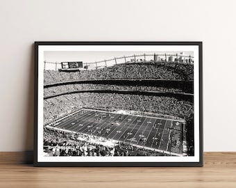 Empower Field - Denver Broncos Stadium Fine Art Print