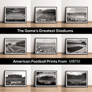 NFL Stadium Art Prints