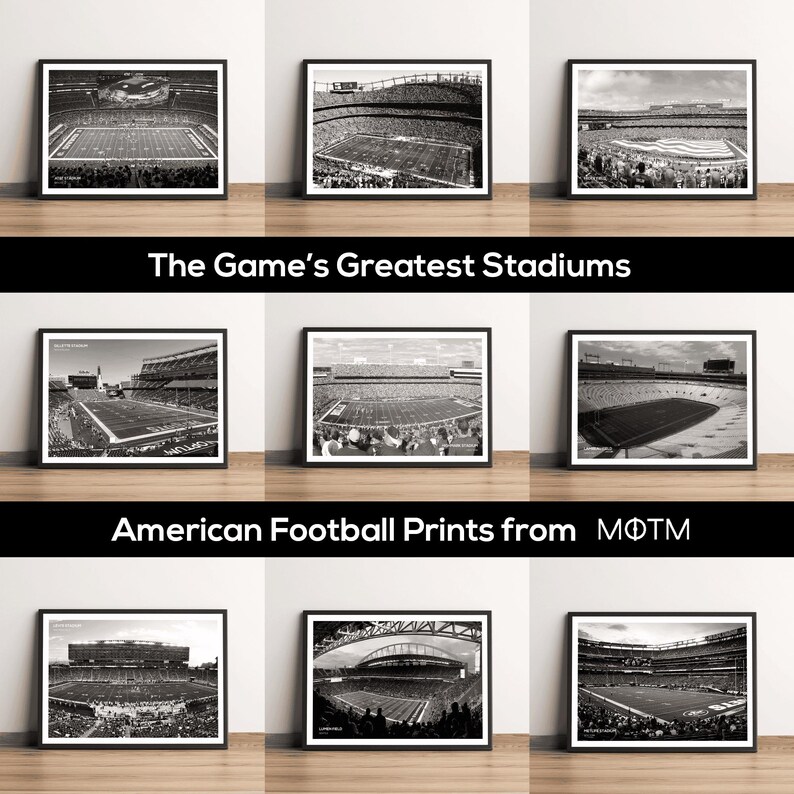 NFL Stadium Art Prints