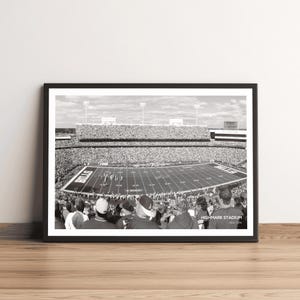 Può includere: Stampa incorniciata in bianco e nero dell'Highmark Stadium, sede dei Buffalo Bills. L'immagine cattura una vista panoramica del campo da football, pieno di spettatori, e le luci dello stadio. La parola "BILLS" è visibile sul campo.