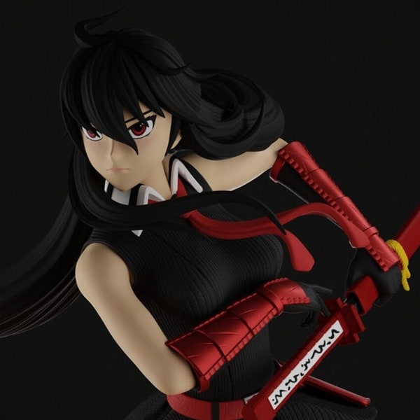 Akame_(Akame_Ga_Kill_Fan Art)  / Modelo a escala 3d impreso en  resina para armar y pintar o lista para coleccionar