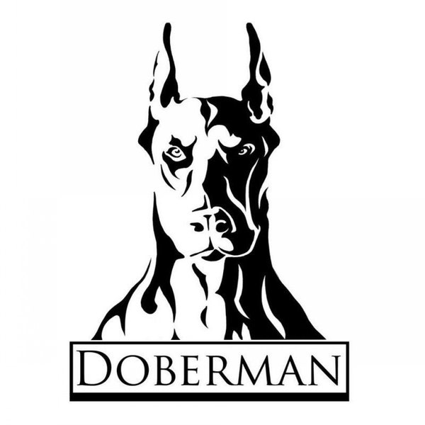 Doberman decal/Vinyl stickers& decals for cars/Vinyl Decal/Laptop sticker/Bumper sticker