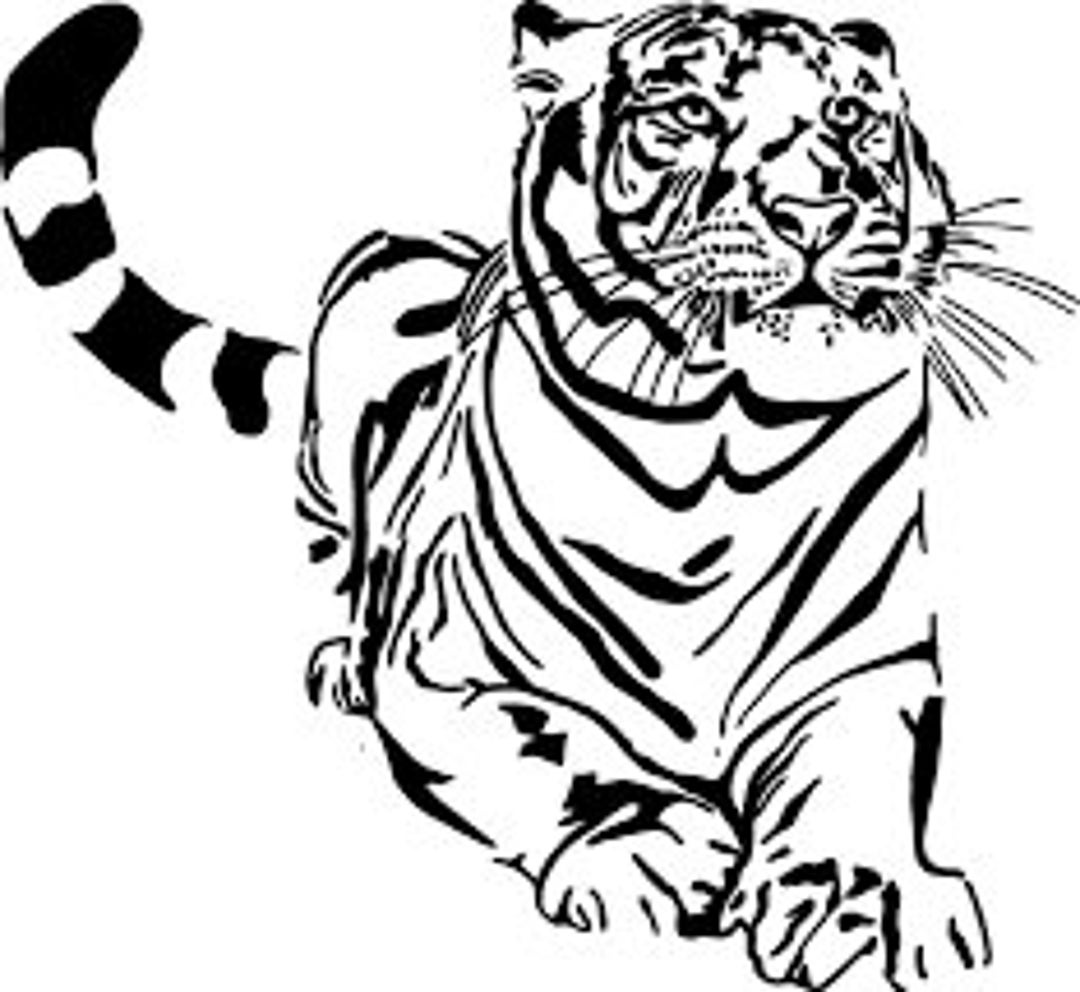 Tiger Decal/vinyl Stickers& Decals for Cars/vinyl Decal/laptop Etsy