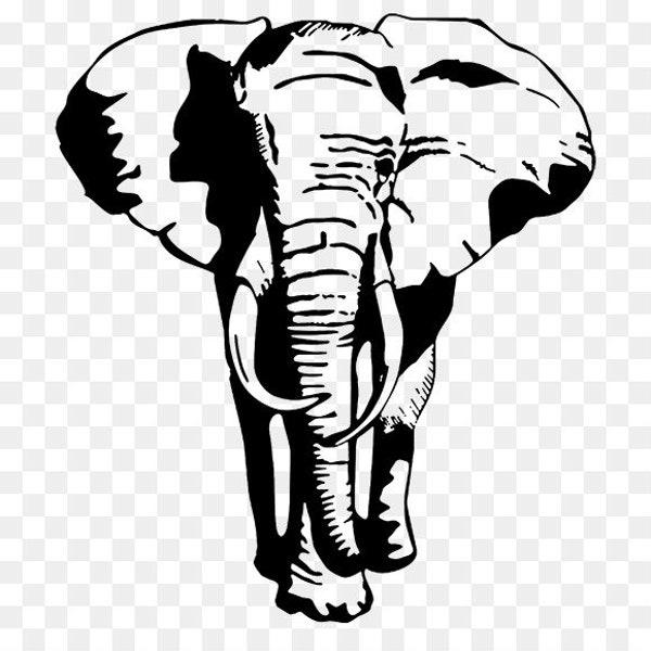 Elephant Decal/Vinyl stickers& decals for cars/Vinyl Decal/Laptop sticker/Bumper sticker