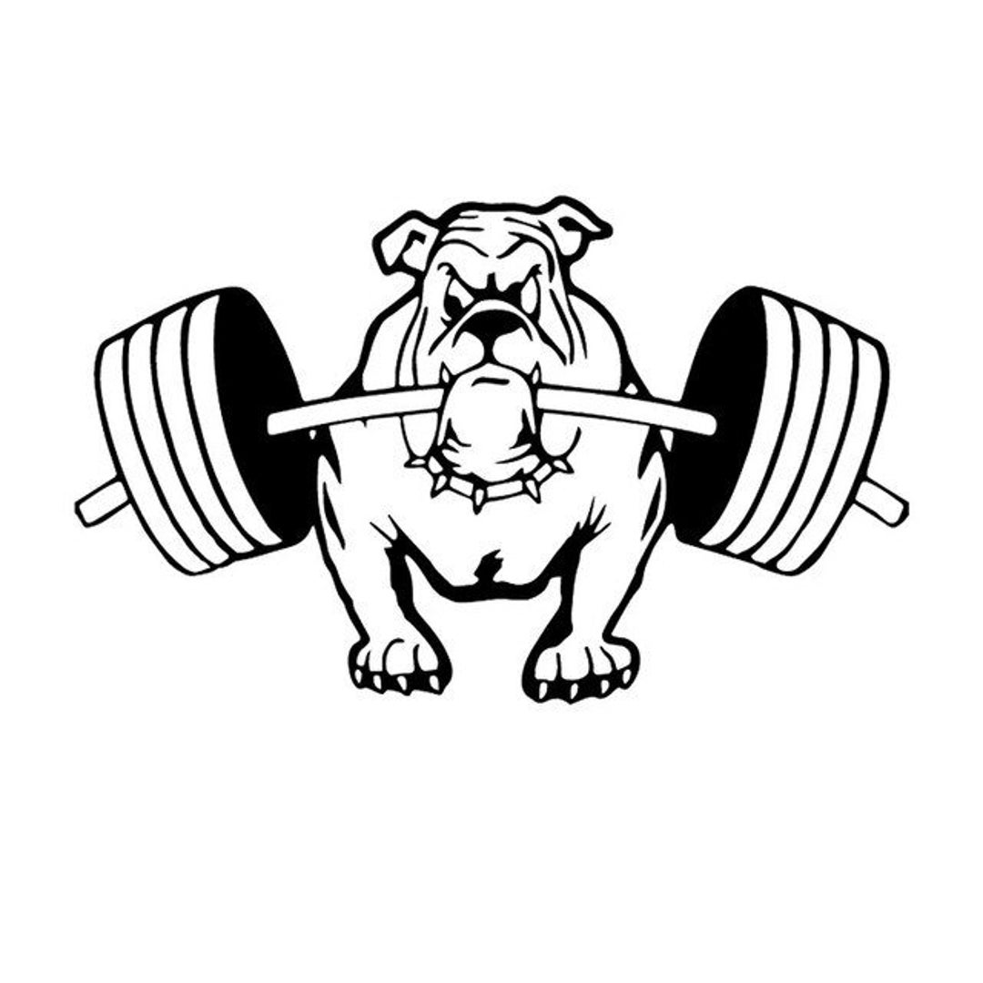 Dog Sticker/vinyl Stickers& Decals for Cars/vinyl Decal/bumper Etsy