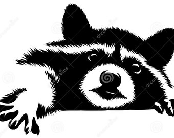 Raccoon Decal/Vinyl stickers& decals for car/Vinyl Decal/Laptop sticker/Bumper sticker