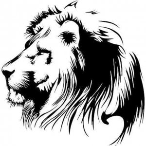 Lion Decal/Vinyl stickers& decals for cars/Vinyl Decal/Laptop sticker/Bumper sticker