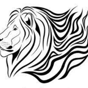 Lion Decal/Vinyl stickers& decals for cars/Vinyl Decal/Laptop sticker/Bumper sticker