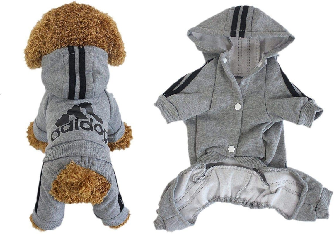 Tracksuit Sportswear for dogs puppies and cats Winter image 0