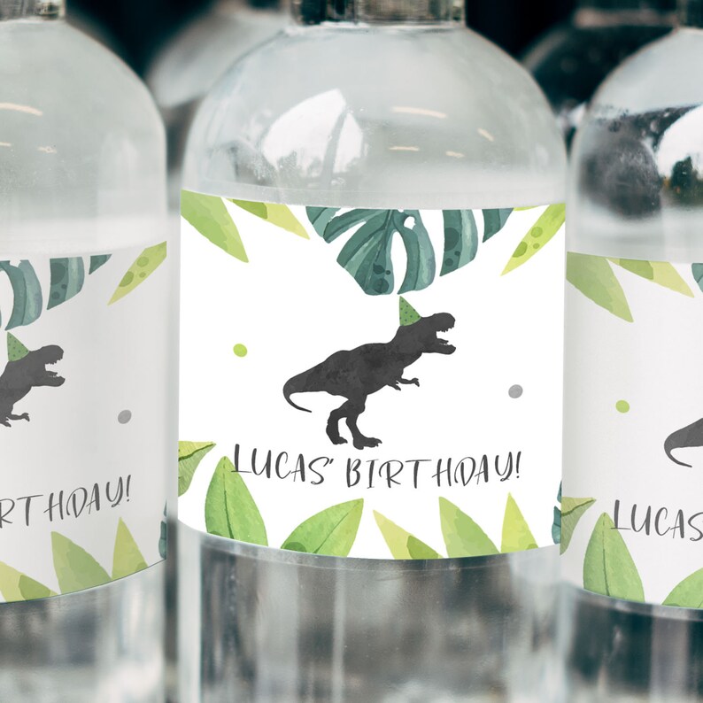 Dinosaur Water Bottle Label Dinosaur Water Label Dinosaur Etsy