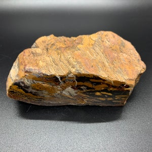 New Mexico Petrified Wood, Partially Polished, Fossilized Wood, Rocks