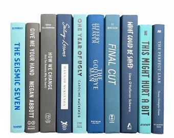 Blue and Gray Books - Decorative Books - Staging Books - Stack of Books - Books by Color - Books by the Foot - Home Decor Book Bundle