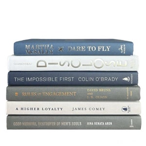 Blue and Gray Books, Decorative Books, Staging Books, Coastal Books, Beach Books for Decor, Neutral Books, Book Stack, Books by Color