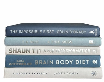 Blue and Gray Book,  Decorative Books,  Staging Books, Stack of Books, Books by Color, Books by the Foot, Home Decor Book Bundle (5 Books)