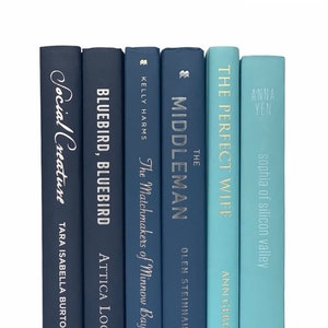 Blue Books - Coastal Books - Beach Books - Decorative Books - Staging Books -  Color Bundle - Stack of Books - Stacked Decor - Blue Decor