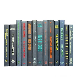 Blue Books for Decoration and Staging, Blue Decorative Books, Book Bundles for Bookshelf Decor, Decorative Book Set, Aesthetic Books