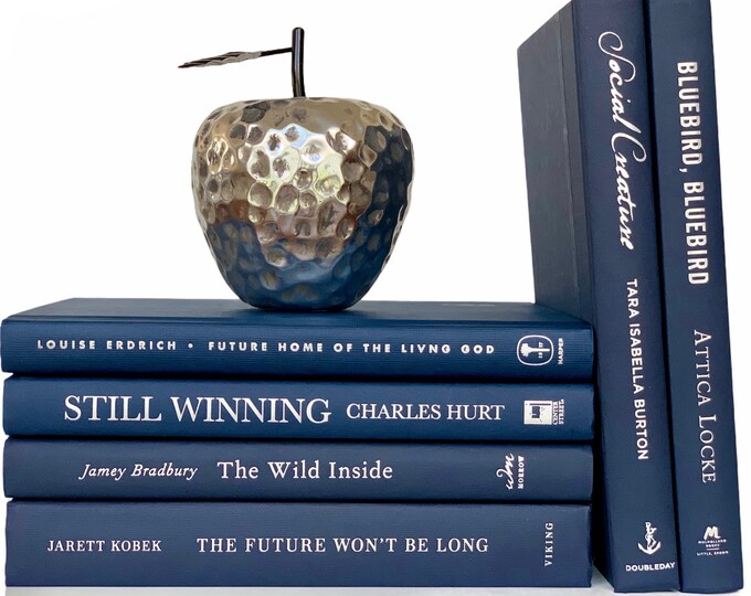 Navy Books Navy Blue Books Decorative Books Staging Books Color Bundle