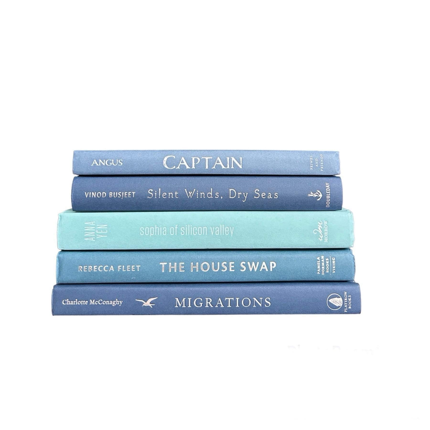 Blue Books, Beach House Books, Coastal Books, Decorative Books, Staging Books, Coffee Table Books, Bookshelf Decor, Summer Home Decor Gift