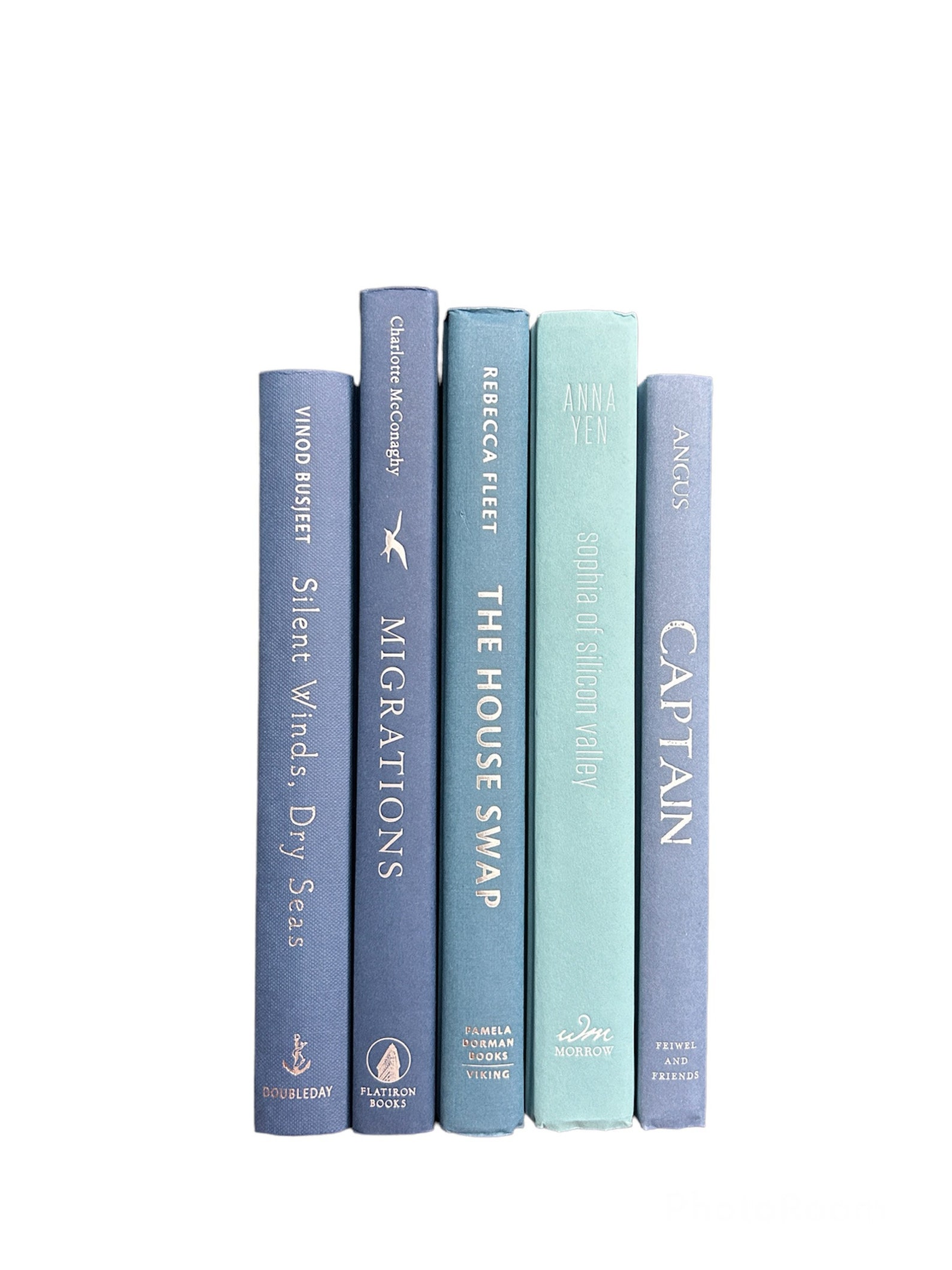 Blue Books, Beach House Books, Coastal Books, Decorative Books, Staging ...