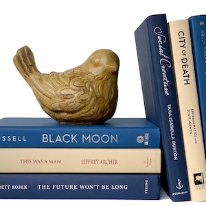 May include: A stack of five blue and cream hardcover books with titles including "Black Moon", "This Was A Man", "The Future Won't Be Long", "City of Death", and "Social Creature". A small ceramic bird figurine sits on top of the books.