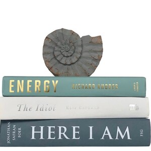 May include: A stack of three hardcover books with a gray ammonite fossil sculpture placed on top. The top book is light blue with gold text reading ENERGY by Richard Rhodes. The middle book is white with silver text reading The Idiot by Elif Batuman. The bottom book is dark blue with white text reading HERE I AM by Jonathan Safran Foer.