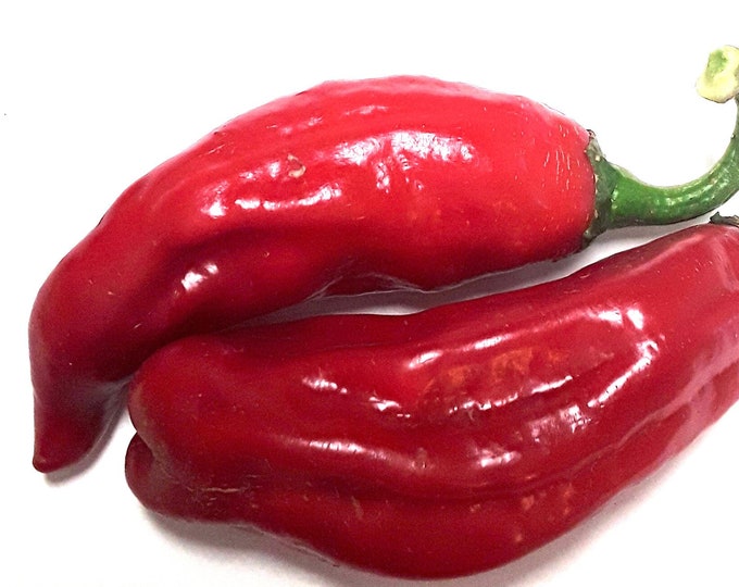 Hungarian Paprika Sweet Pepper - Heirloom 15 seeds