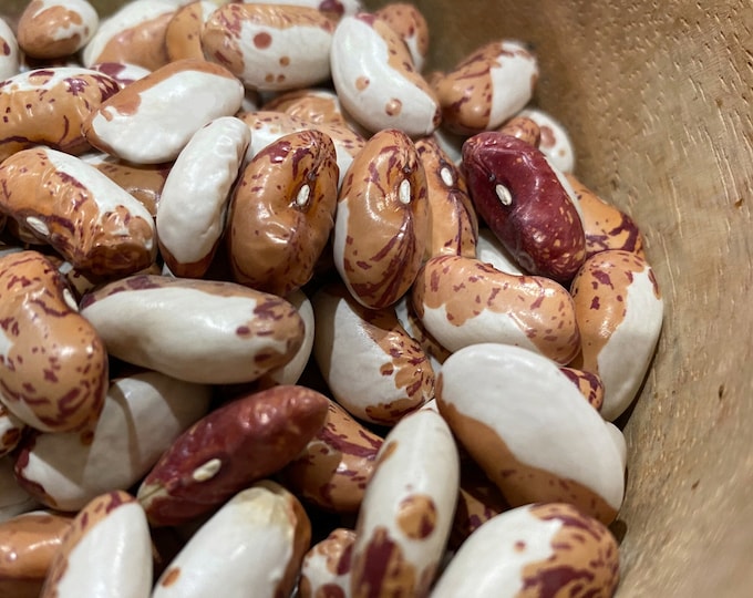 Snow Cap Bean - Heirloom 15 seeds