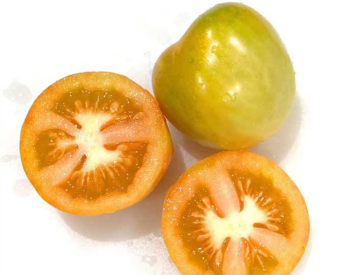 Bonita Del Sol Tomato - VERY RARE Heirloom 10 seeds