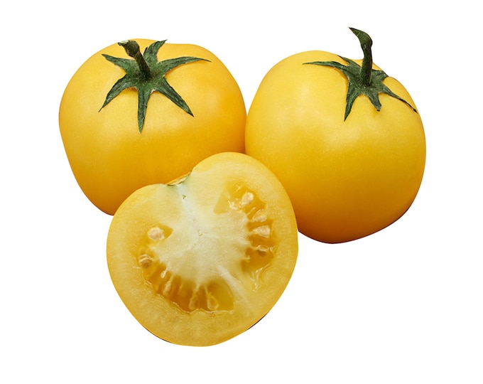 Yellow Perfection Tomato - Heirloom 20 seeds