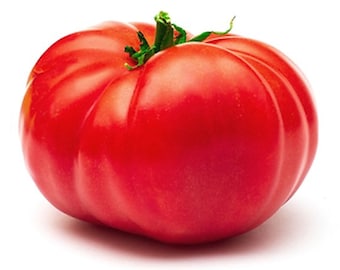 Giant Belgium Tomato - Heirloom 10 seeds