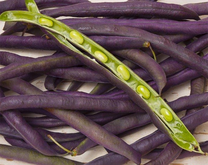 Alabama Purple Hull Pea - Heirloom seeds