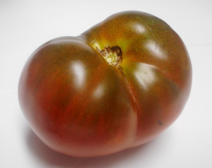 Togorific Tomato - RARE Heirloom 10 seeds