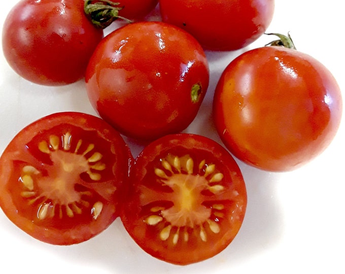 Fox Cherry Tomato - RARE Heirloom 10 seeds