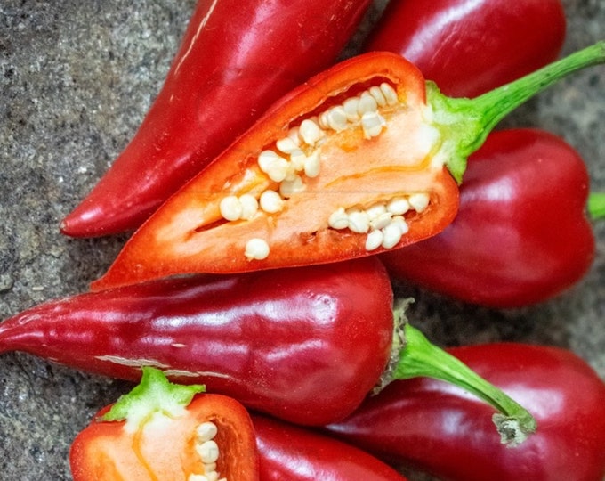 Kalugeritsa Chili Pepper - VERY RARE Heirloom 15 seeds