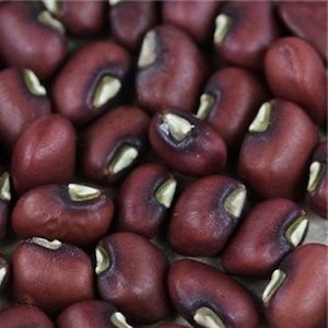 Haricot Rouge de Burkina Faso Pea - RARE Heirloom 15 seeds