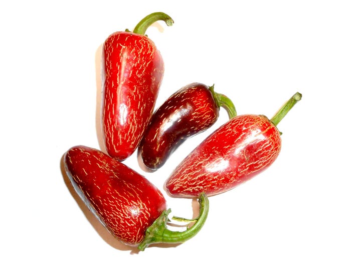 Piquillo Basque Sweet Pepper - RARE heirloom 20 seeds