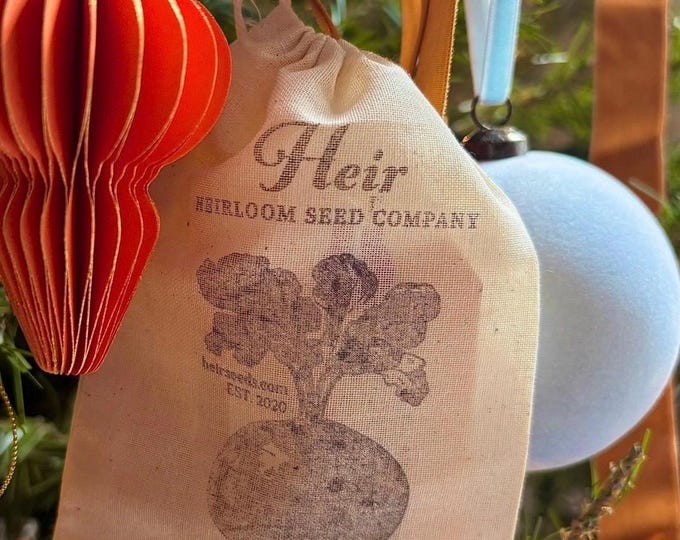 Hungarian Paprika Sweet Pepper - Heirloom 15 seeds