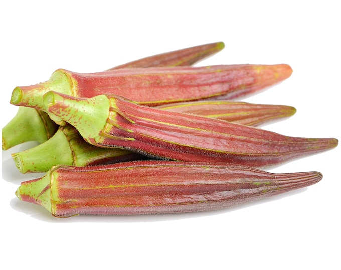 Orange Jing Okra - Heirloom 30 seeds