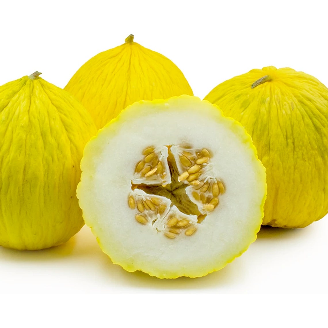 Golden Beauty Casaba Melon Heirloom 20 Seeds Etsy