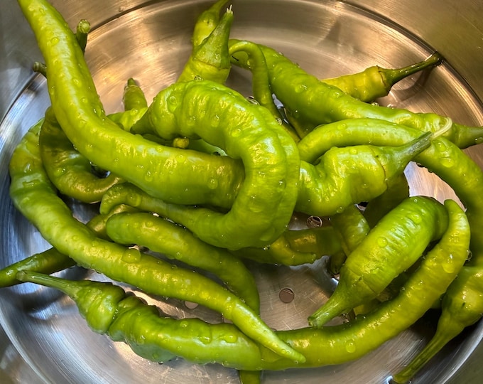 Jimmy Nardello Sweet Frying Pepper - Heirloom 20 seeds