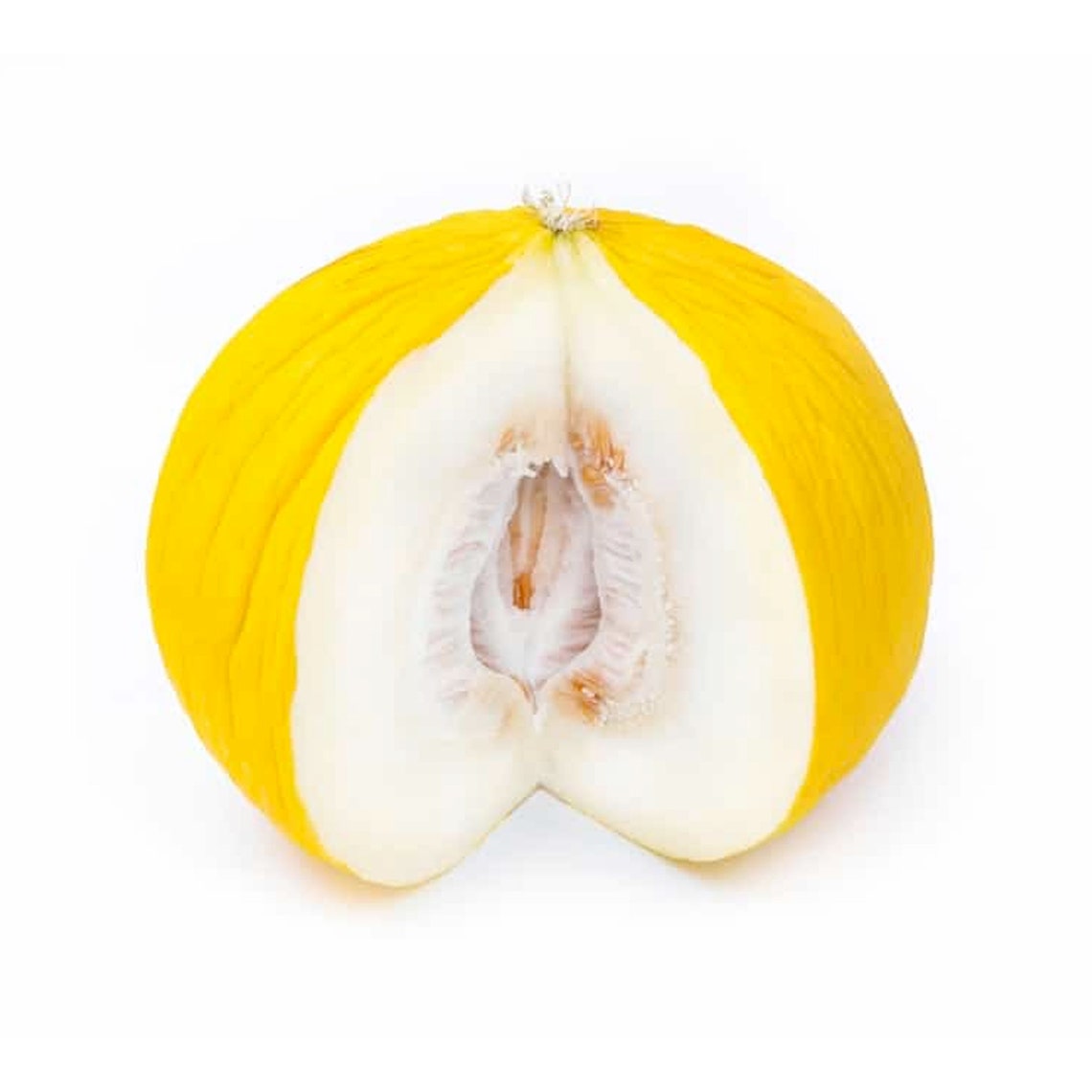 Golden Beauty Casaba Melon Heirloom 20 Seeds Etsy