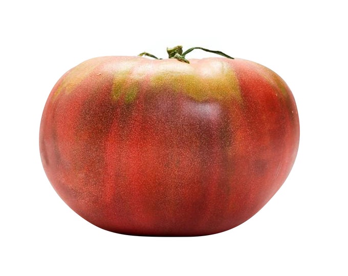 Brandywine Tomato - Heirloom 10 seeds