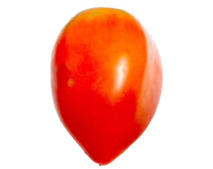 Amish Paste Tomato - RARE Heirloom 10 seeds