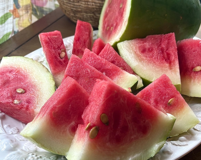 Bradford Watermelon - RARE heirloom 10 seeds