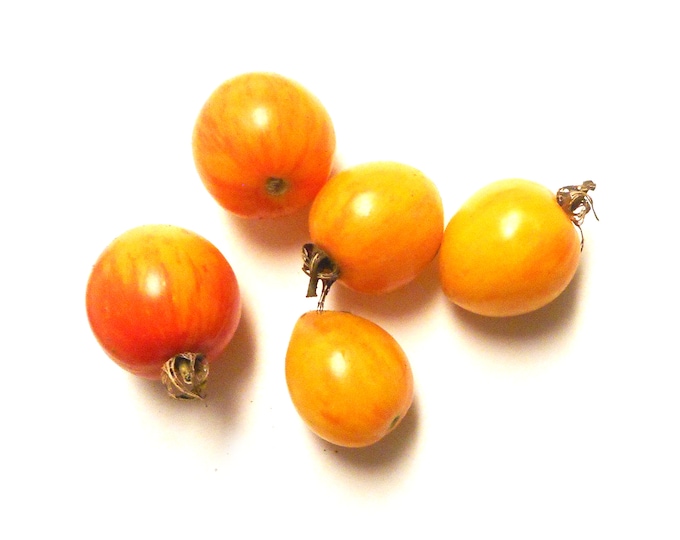 Sunrise Bumblebee Tomato - RARE Heirloom 20 seeds